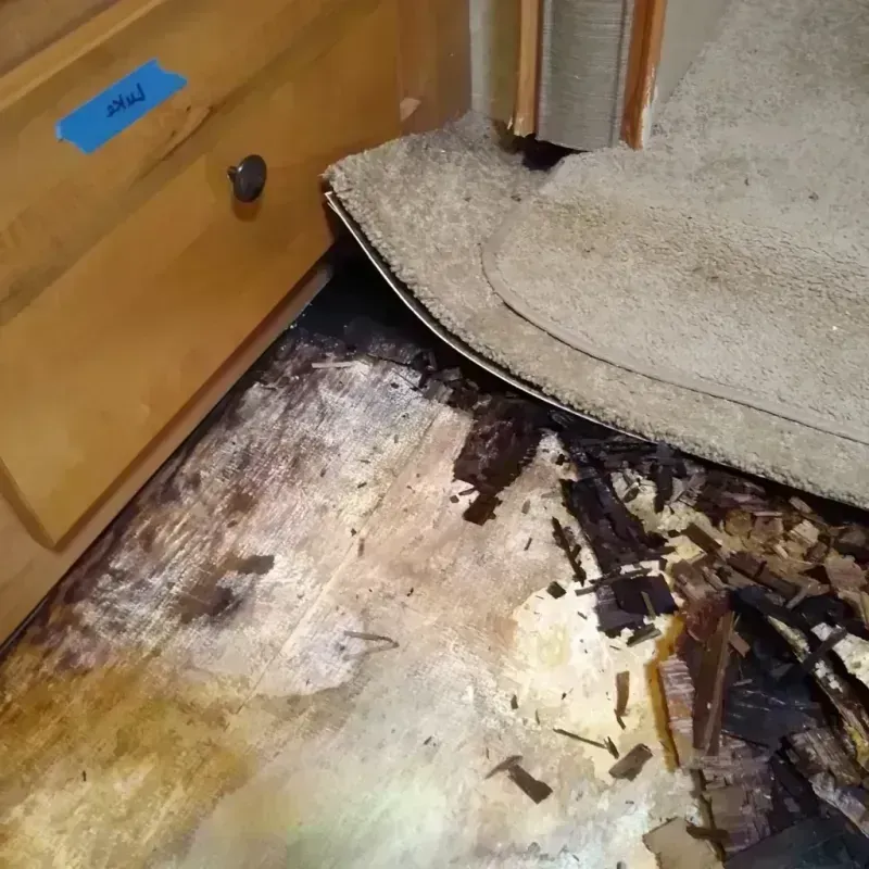 Wood Floor Water Damage in Colorado Springs, CO